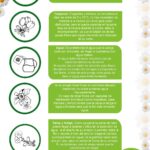 Potencia la vida de tus flores en arreglos florales: ¡descubre el secreto!
