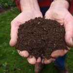 Aprovecha el compost y cultiva un jardín floreciente: Consejos indispensables