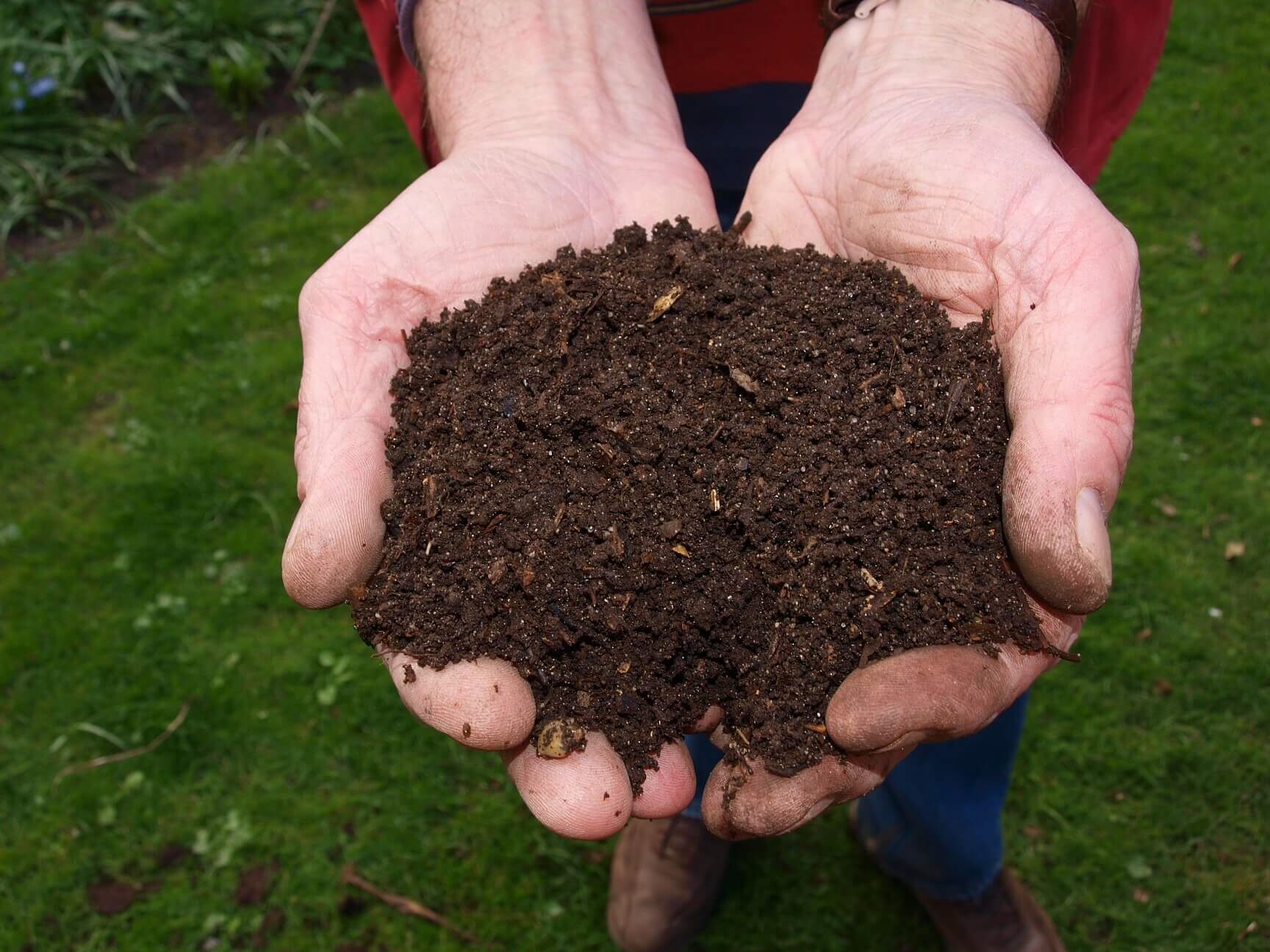 Aprovecha el compost y cultiva un jardín floreciente: Consejos indispensables