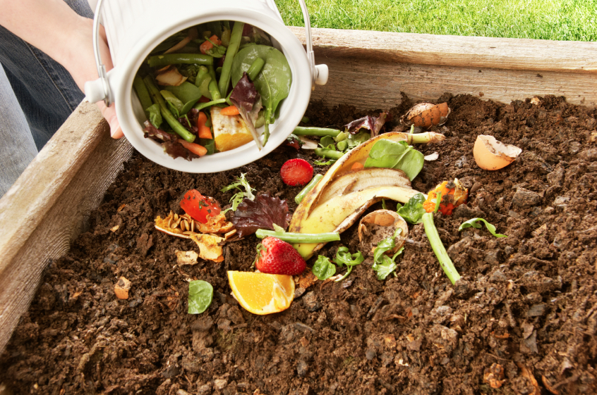 ¡Sostenibilidad desde casa! Aprovecha los restos de comida en tu jardín para un cambio positivo