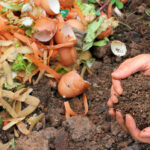 Elimina el mal olor del compost: aprende a hacerlo fresco y sin olores desagradables