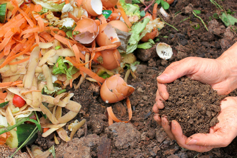 Elimina el mal olor del compost: aprende a hacerlo fresco y sin olores desagradables