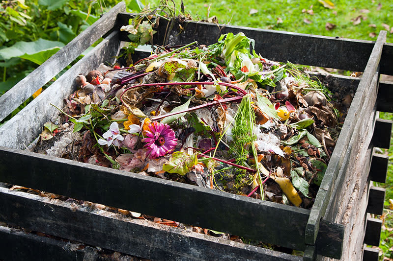 Acelera el crecimiento de tus plantas con compost: Secretos para un jardín impresionante