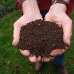 Transforma tu jardín con compost orgánico: Beneficios y mejora del suelo garantizados