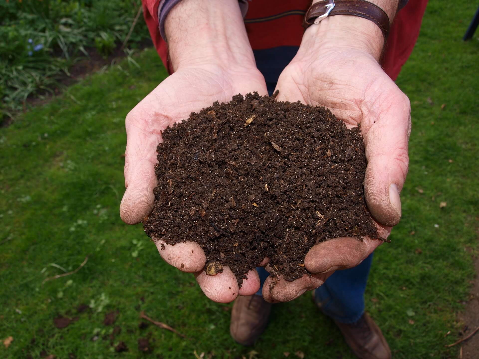 Transforma tu jardín con compost orgánico: Beneficios y mejora del suelo garantizados