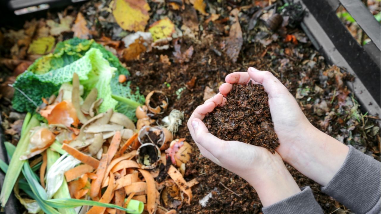 Secretos del éxito al usar compost en tu jardín: Evita errores comunes