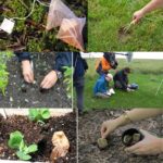 Duración impresionante de la descomposición del compost en el jardín