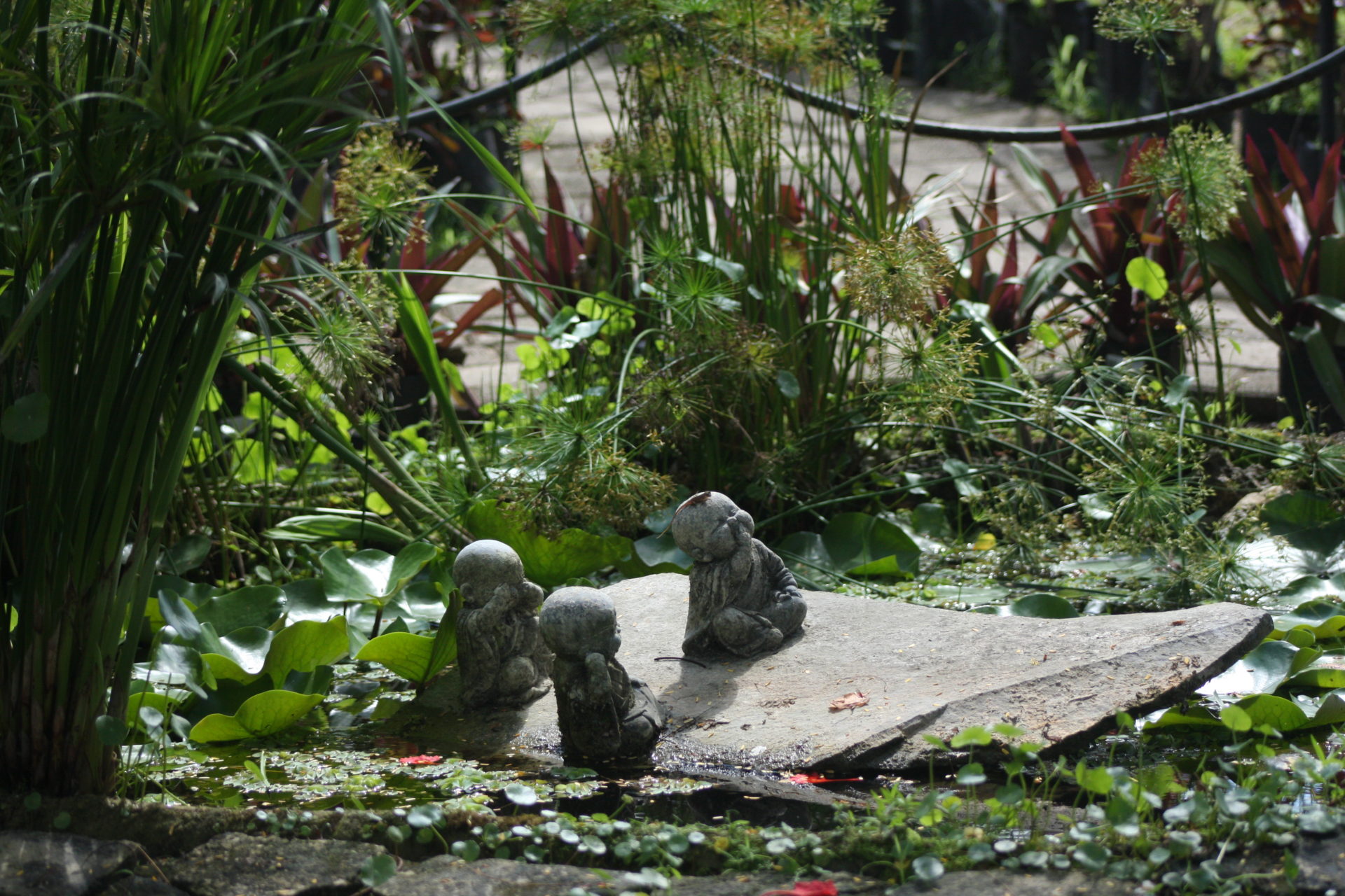 Descubre los mágicos jardines temáticos y enamórate de su encanto