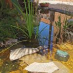 Elimina mosquitos en tu estanque ¡Disfruta sin picaduras!