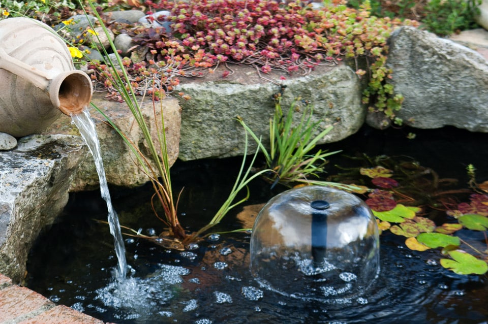 Mantén tu estanque con agua cristalina: consejos infalibles para un espacio acuático limpio y claro