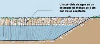 Soluciona filtraciones en estanques con un simple paso ¡Descubre cómo ahora!