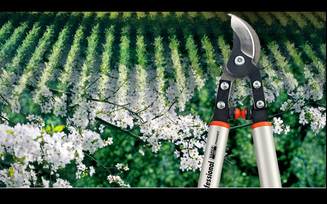 Descubre Las Herramientas Esenciales Para El Mantenimiento De Jardines