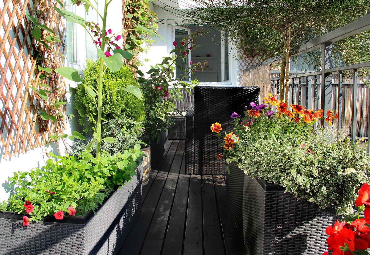 Optimiza el riego en tu huerto urbano: Frecuencia ideal para balcones y terrazas