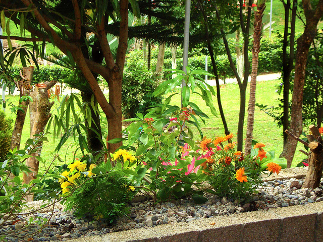 Jardín temático: Adapta tu espacio a todas las estaciones del año ¡Sorprende y decora!