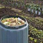 Beneficios del Compost en la Jardinería: ¡Consigue un Jardín Exuberante con este Secreto Natural!