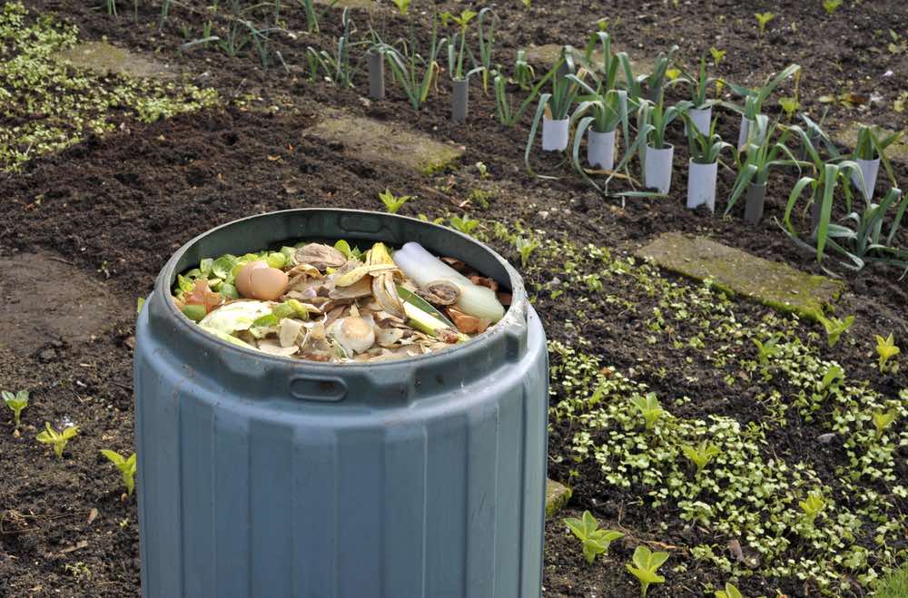 Beneficios del Compost en la Jardinería: ¡Consigue un Jardín Exuberante con este Secreto Natural!