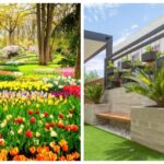 Jardines temáticos: Crea tu oasis en casa y descubre los más populares