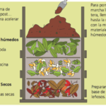 Compostaje: Crea un jardín lleno de vida con este proceso fascinante