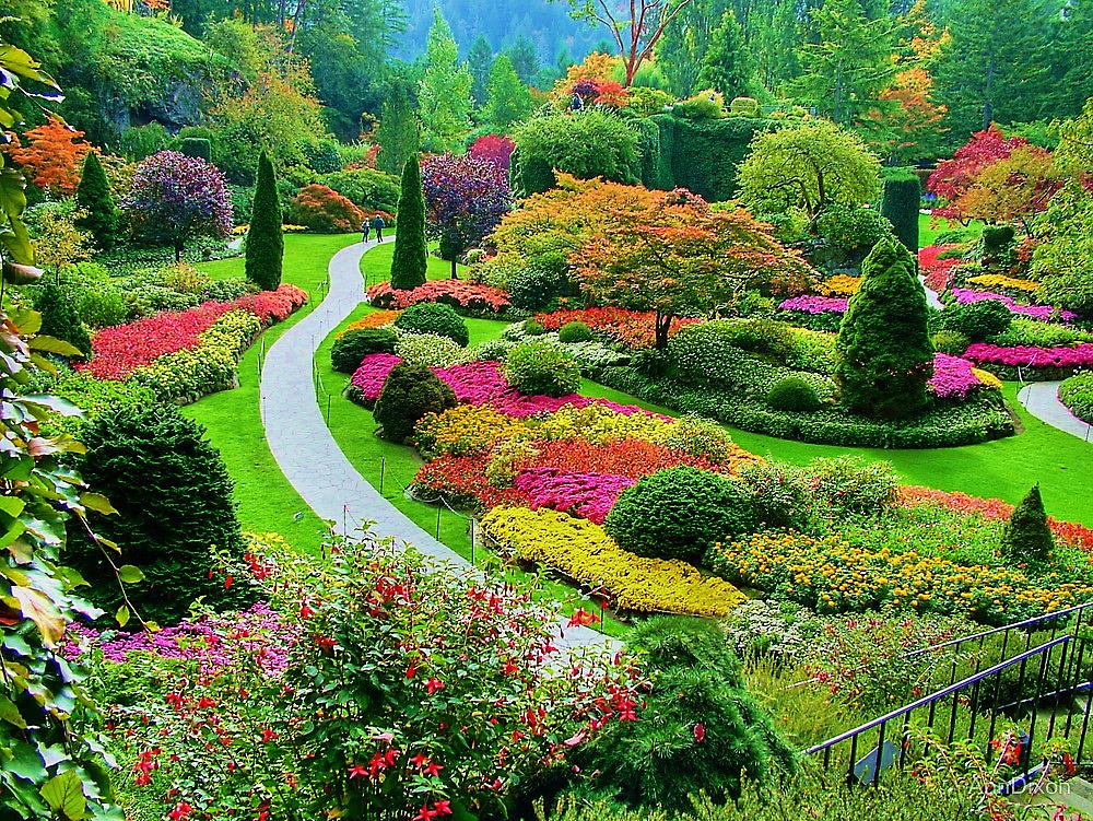 Crea un jardín funcional y atractivo: consejos expertos y trucos imprescindibles