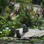 Diseña tu oasis de ensueño con un jardín temático en casa